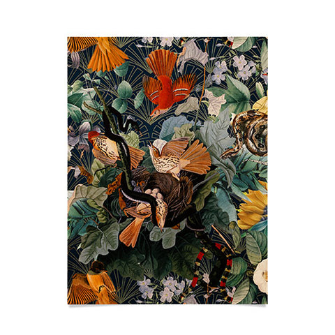 Burcu Korkmazyurek Birds and Snakes Poster