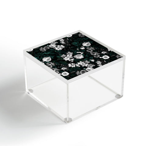 Burcu Korkmazyurek Botanical Night Acrylic Box