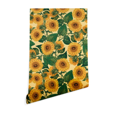 Burcu Korkmazyurek Helianthus Annuus Wallpaper