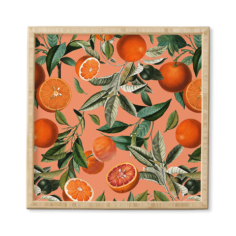 Burcu Korkmazyurek Vintage Fruit Pattern XII Framed Wall Art