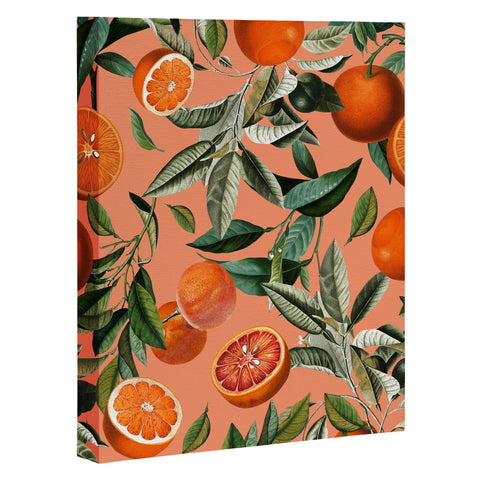 Burcu Korkmazyurek Vintage Fruit Pattern XII Art Canvas