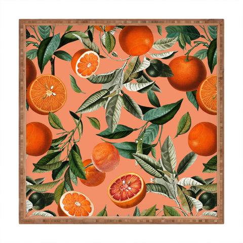 Burcu Korkmazyurek Vintage Fruit Pattern XII Square Tray