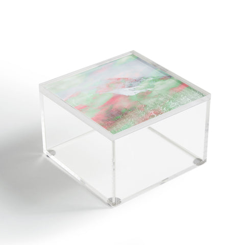 Caleb Troy Banff Painted Christmas Acrylic Box