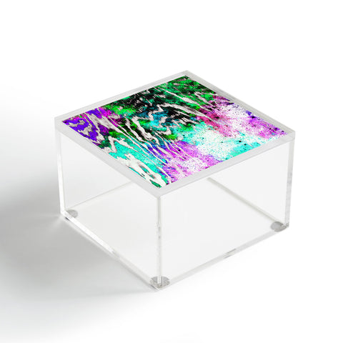Caleb Troy Techno Zebra Stars 1 Acrylic Box