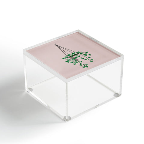 camilleallen hanging house plant Acrylic Box