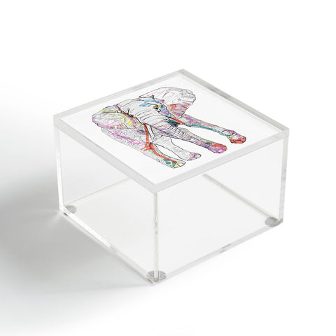 Casey Rogers Elephant 1 Acrylic Box