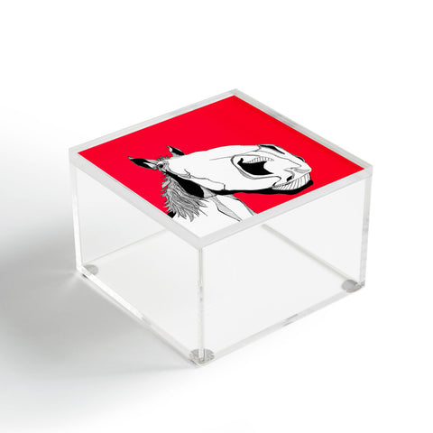 Casey Rogers Horseface Acrylic Box