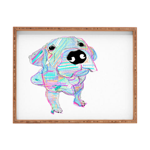 Casey Rogers MultiLab Rectangular Tray