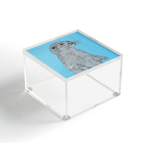 Casey Rogers Otter Acrylic Box