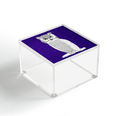 Casey Rogers Owl Acrylic Box