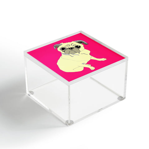 Casey Rogers Pugbug Acrylic Box