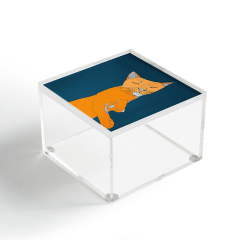 Casey Rogers Sleepy Cat Acrylic Box