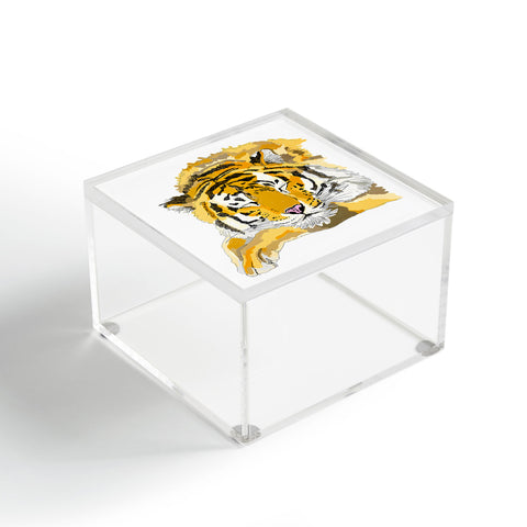 Casey Rogers Sleepy Tiger Acrylic Box
