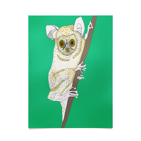Casey Rogers Slow Loris Poster