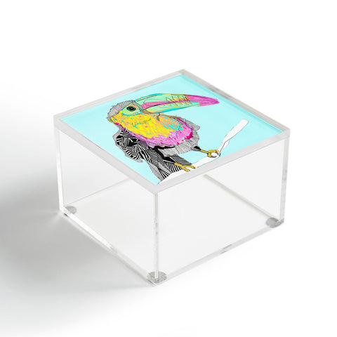 Casey Rogers Toucan Acrylic Box