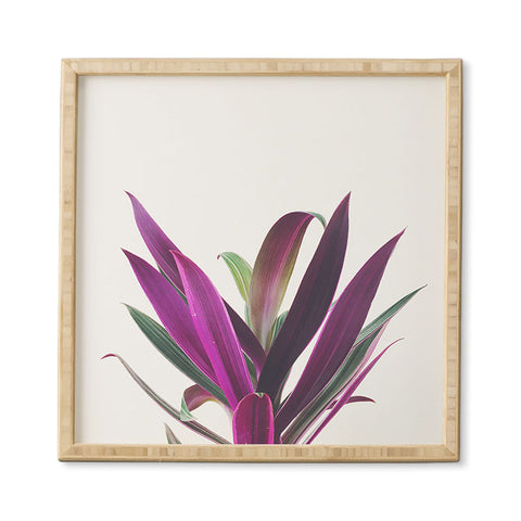 Cassia Beck Boat Lily Framed Wall Art
