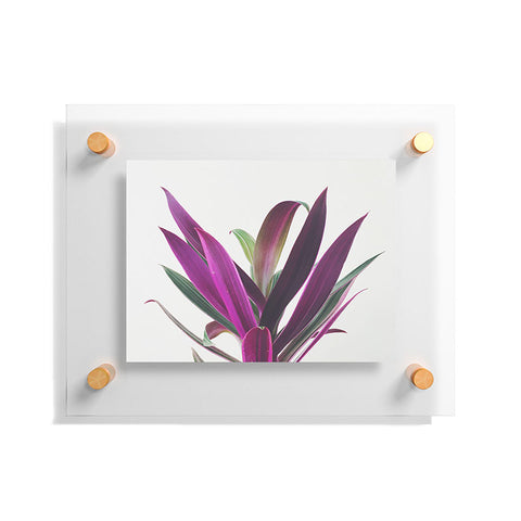 Cassia Beck Boat Lily Floating Acrylic Print