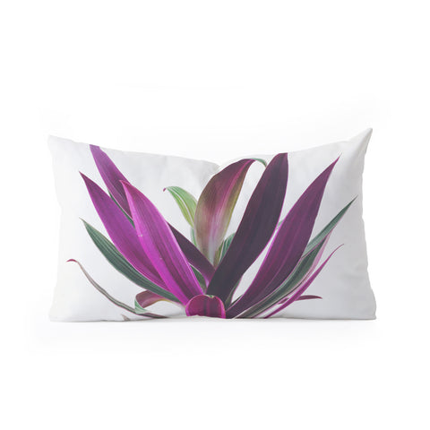 Cassia Beck Boat Lily Oblong Throw Pillow