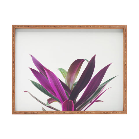 Cassia Beck Boat Lily Rectangular Tray