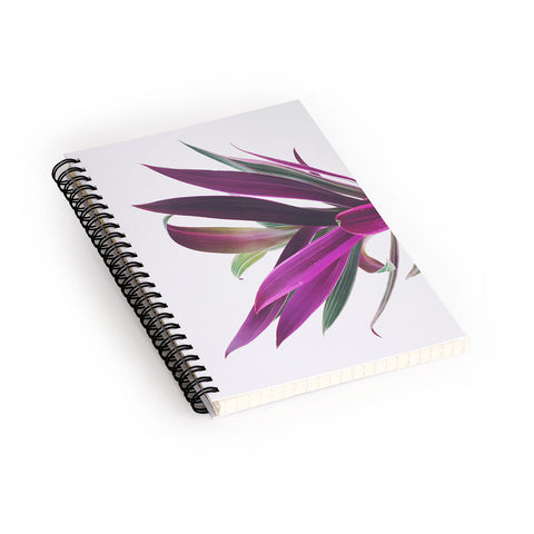 Cassia Beck Boat Lily Spiral Notebook