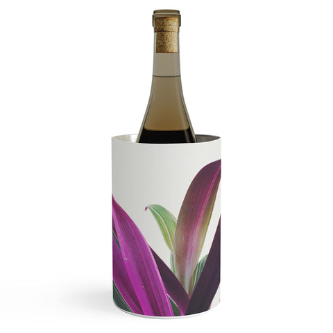 Cassia Beck Boat Lily Wine Chiller