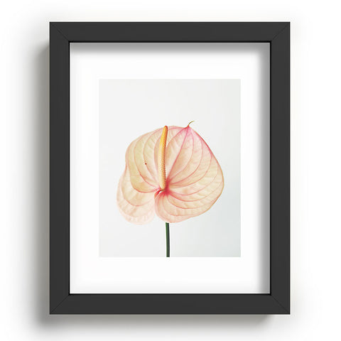 Cassia Beck Calla Lily II Recessed Framing Rectangle
