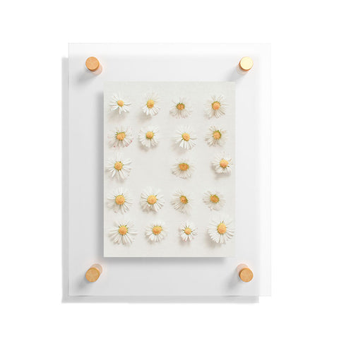 Cassia Beck Daisy Collection Floating Acrylic Print