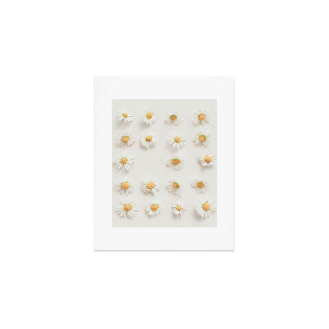 Cassia Beck Daisy Collection Art Print