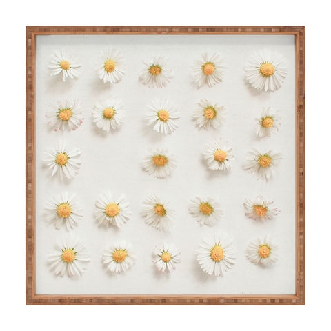Cassia Beck Daisy Collection Square Tray