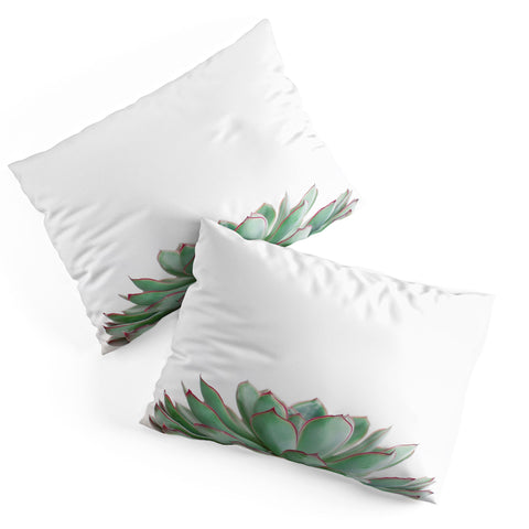 Cassia Beck Echeveria Pillow Shams