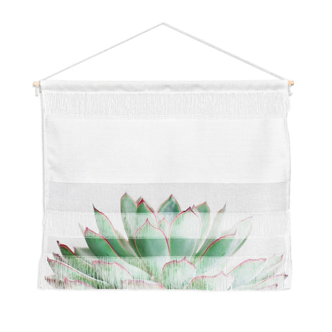 Cassia Beck Echeveria Wall Hanging Landscape