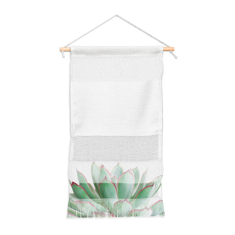 Cassia Beck Echeveria Wall Hanging Portrait