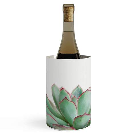 Cassia Beck Echeveria Wine Chiller