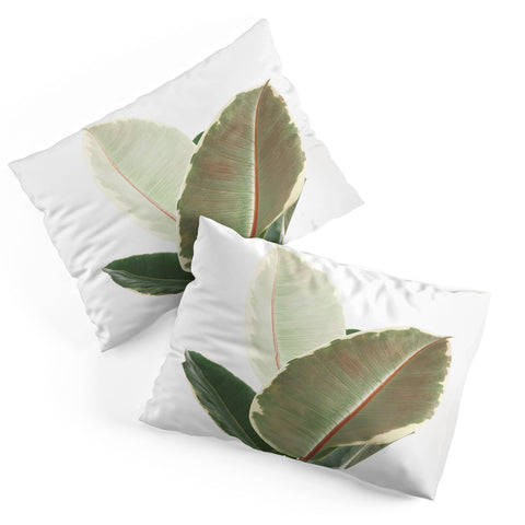 Cassia Beck Ficus Tineke Pillow Shams
