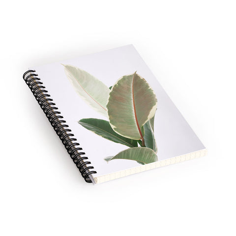 Cassia Beck Ficus Tineke Spiral Notebook