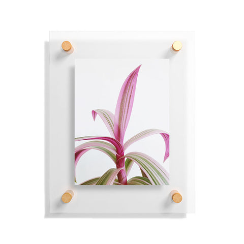 Cassia Beck Moses in the Cradle Floating Acrylic Print