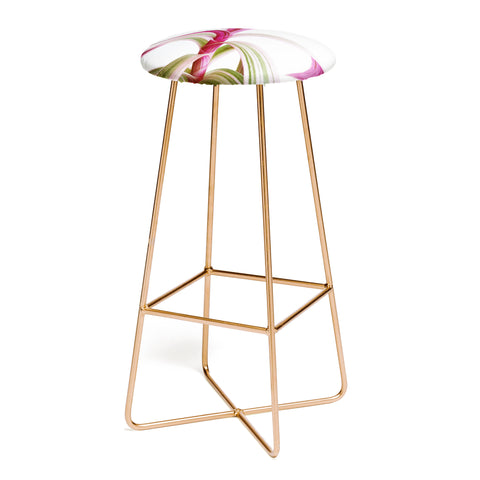 Cassia Beck Moses in the Cradle Bar Stool