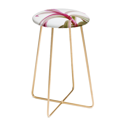 Cassia Beck Moses in the Cradle Counter Stool