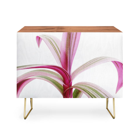 Cassia Beck Moses in the Cradle Credenza