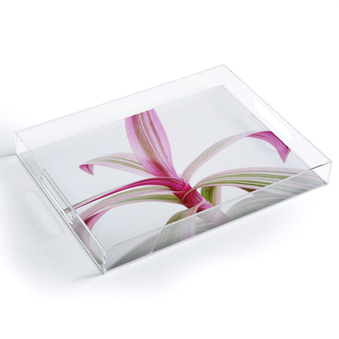 Cassia Beck Moses in the Cradle Acrylic Tray
