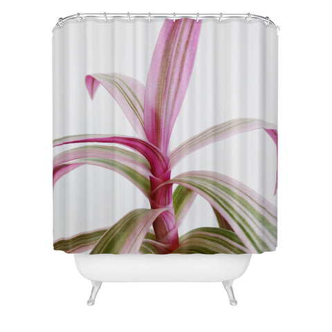 Cassia Beck Moses in the Cradle Shower Curtain