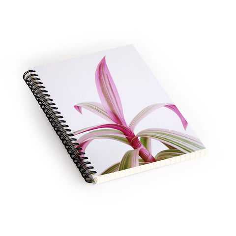 Cassia Beck Moses in the Cradle Spiral Notebook