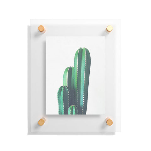 Cassia Beck Organ Pipe Cactus Floating Acrylic Print