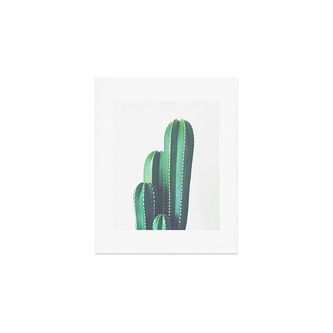 Cassia Beck Organ Pipe Cactus Art Print
