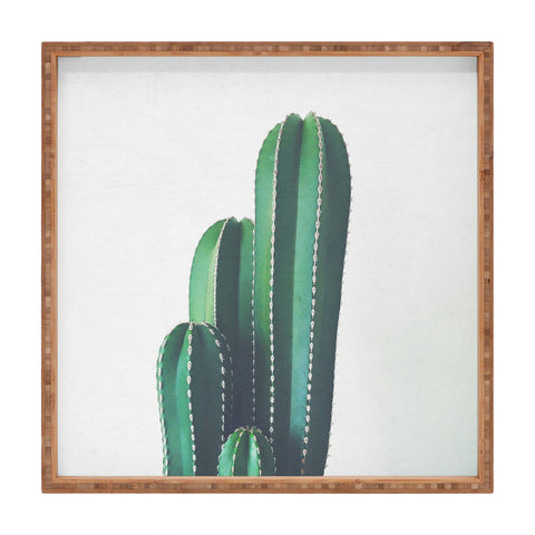 Cassia Beck Organ Pipe Cactus Square Tray