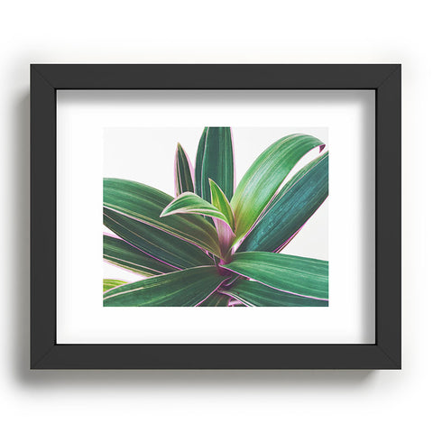 Cassia Beck Oyster Plant Recessed Framing Rectangle