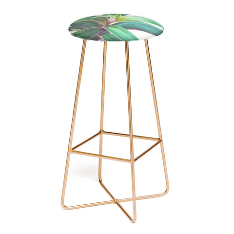 Cassia Beck Oyster Plant Bar Stool