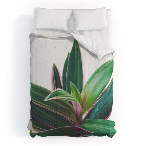 Cassia Beck Oyster Plant Comforter