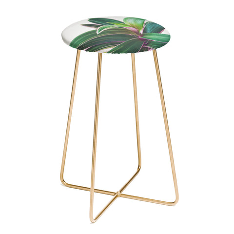 Cassia Beck Oyster Plant Counter Stool
