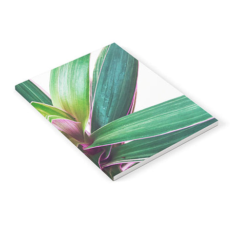 Cassia Beck Oyster Plant Notebook